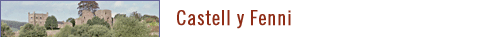 Castell y Fenni