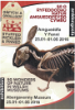 poster showing stuffed rabbit